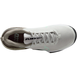 NIKE Air Max Alpha Trainer 6 Fitnessschuhe Herren 008 - platinum tint/barely green-college grey 41
