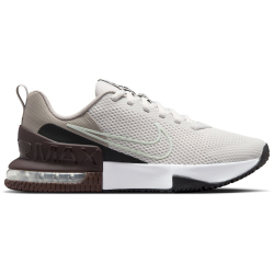 NIKE Air Max Alpha Trainer 6 Fitnessschuhe Herren 008 - platinum tint/barely green-college grey 41