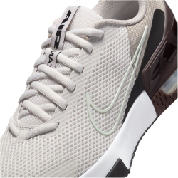 NIKE Air Max Alpha Trainer 6 Fitnessschuhe Herren 008 - platinum tint/barely green-college grey 41