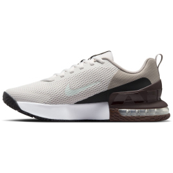 NIKE Air Max Alpha Trainer 6 Fitnessschuhe Herren 008 - platinum tint/barely green-college grey 44
