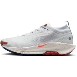 NIKE Pegasus Trail 5 GORE-TEX Trailrunning-Schuhe Herren 009 - pure platinum/white-football grey 42