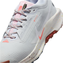 NIKE Pegasus Trail 5 GORE-TEX Trailrunning-Schuhe Herren 009 - pure platinum/white-football grey 42