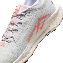 NIKE Pegasus Trail 5 GORE-TEX Trailrunning-Schuhe Herren 009 - pure platinum/white-football grey 42