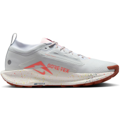 NIKE Pegasus Trail 5 GORE-TEX Trailrunning-Schuhe Herren 009 - pure platinum/white-football grey 45.5