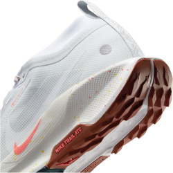 NIKE Pegasus Trail 5 GORE-TEX Trailrunning-Schuhe Herren 009 - pure platinum/white-football grey 45.5