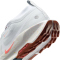 NIKE Pegasus Trail 5 GORE-TEX Trailrunning-Schuhe Herren 009 - pure platinum/white-football grey 45.5