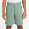 NIKE Sportswear Club Fleece French Terry Shorts Kinder 037 - steam/white XL (158-170 cm)