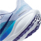 NIKE Air Zoom Pegasus 41 Laufschuhe Herren 014 - ghost/blue void-football grey-deep night 44