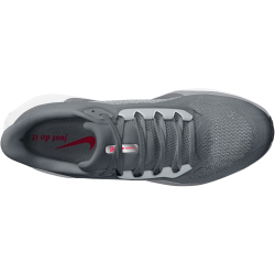 NIKE Air Zoom Pegasus 41 Laufschuhe Herren 013 - cool grey/bright crimson-wolf grey 40