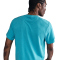 NIKE Dri-FIT Primary kurzarm Fitnessshirt Herren 345 - dusty cactus/htr/dusty cactus M