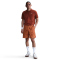 NIKECourt Dri-FIT Tennis Poloshirt Herren 662 - mars stone/white L