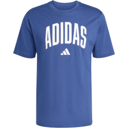 adidas Collegiate Lineage Graphic T-Shirt