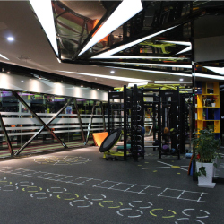TRENDY SPORT Rubber Flooring ProFuTra Bodenmatte 40,5m²