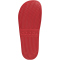 adidas FC Bayern München Adilette Shower Badelatschen JS4861 - supplier colour/supplier colour/cloud white 50
