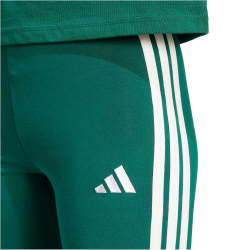 adidas Essentials 3-Streifen Baumwoll Leggings Damen KB7663 - collegiate green/white M