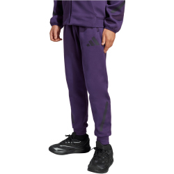 adidas Z.N.E. Jogginghose Kinder JW2429 - aurora plum/aurora black 164
