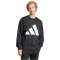 adidas Essentials Big Logo Sweatshirt IN6149 - black/white S