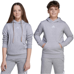 adidas Essentials Hoodie Kinder JV9995 - medium grey...
