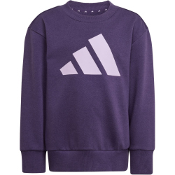 adidas Essentials Jogginganzug Kinder JW2439 - aurora...