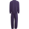 adidas Essentials Jogginganzug Kinder JW2439 - aurora plum/powder plum 128