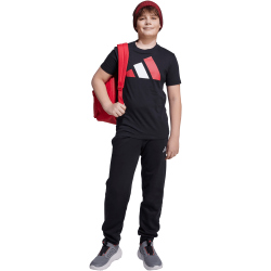adidas Essentials T-Shirt Kinder JY0297 - black/pure ruby/white 140