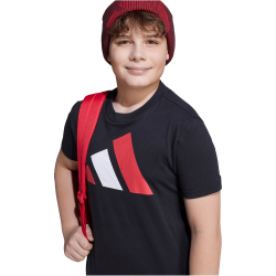adidas Essentials T-Shirt Kinder JY0297 - black/pure ruby/white 140