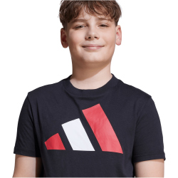 adidas Essentials T-Shirt Kinder JY0297 - black/pure ruby/white 140