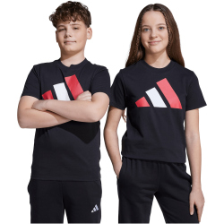 adidas Essentials T-Shirt Kinder JY0297 - black/pure ruby/white 140