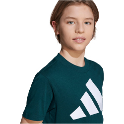 adidas Essentials T-Shirt Kinder JV9871 - aurora ivy/white 128