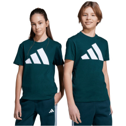 adidas Essentials T-Shirt Kinder JV9871 - aurora ivy/white 128