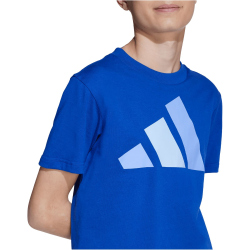 adidas Essentials T-Shirt Kinder JV9866 - team royal blue/blue fusion/glow blue 140
