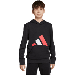 adidas Essentials Hoodie Kinder JY0301 - black/pure...