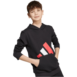 adidas Essentials Hoodie Kinder JY0301 - black/pure ruby/white 140