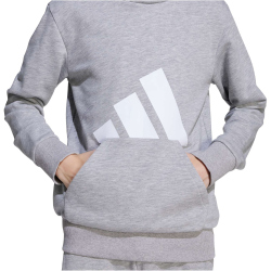 adidas Essentials Hoodie Kinder JV9900 - medium grey heather/white 164