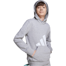 adidas Essentials Hoodie Kinder JV9900 - medium grey heather/white 176