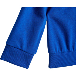 adidas Essentials Baby-Jogginganzug JW2461 - team royal blue/white 92