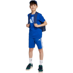 adidas Essentials Sweatshorts Kinder JY5017 - team royal...