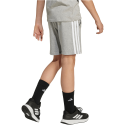 adidas Essentials Sweatshorts Kinder JY5016 - medium grey heather/white 128