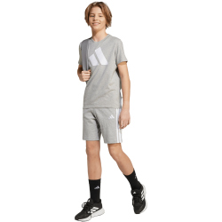 adidas Essentials Sweatshorts Kinder JY5016 - medium grey heather/white 128
