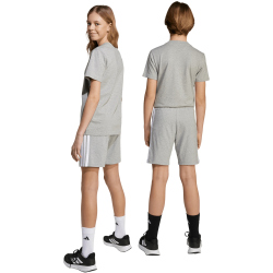 adidas Essentials Sweatshorts Kinder JY5016 - medium grey heather/white 128