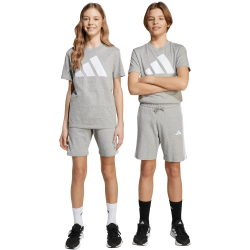 adidas Essentials Sweatshorts Kinder JY5016 - medium grey heather/white 128