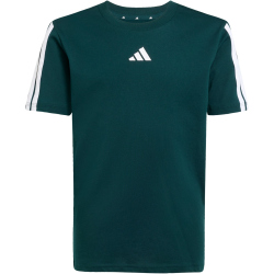 adidas Essentials T-Shirt Kinder JY4969 - aurora ivy/white 128