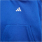 adidas Essentials Baby-Jogginganzug JV9841 - team royal blue/white/white 86