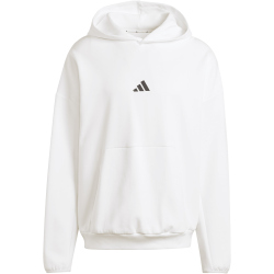 adidas Future Icons Small Logo Hoodie Herren JD4952 -...