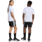 adidas Train Essentials 3-Streifen T-Shirt + Shorts Set Kinder JW4973 - white/black 140