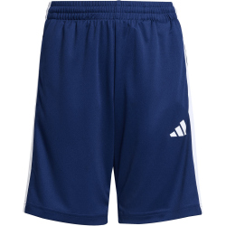 adidas Train Essentials 3-Streifen T-Shirt + Shorts Set Kinder JW4956 - team royal blue/white 116