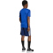 adidas Train Essentials 3-Streifen T-Shirt + Shorts Set Kinder JW4956 - team royal blue/white 116
