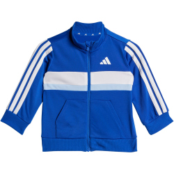 adidas Seasonal Essentials Tiberio 3-Streifen Tricot...