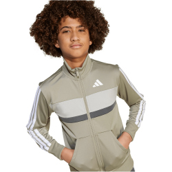 adidas Seasonal Essentials Tiberio 3-Streifen Tricot...