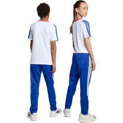 adidas House of Tiro Trainingshose Kinder JW5106 - semi lucid blue/pure ruby/white 128